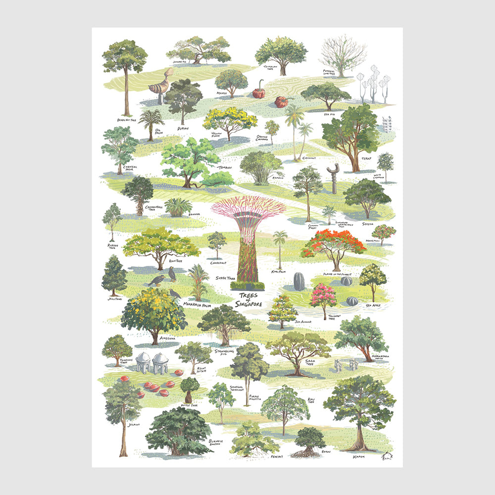 Trees of Singapore Print