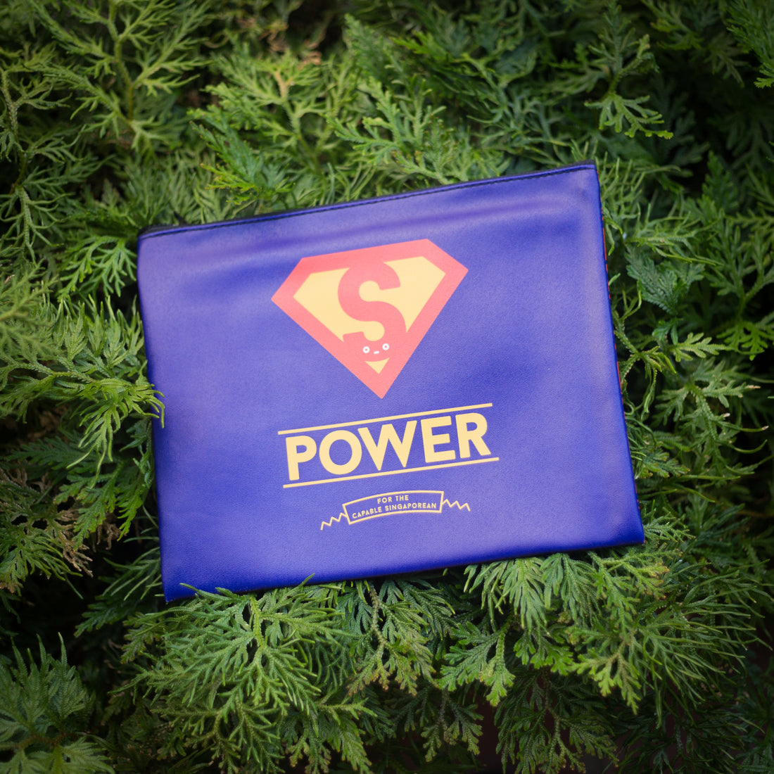 Power Pouch