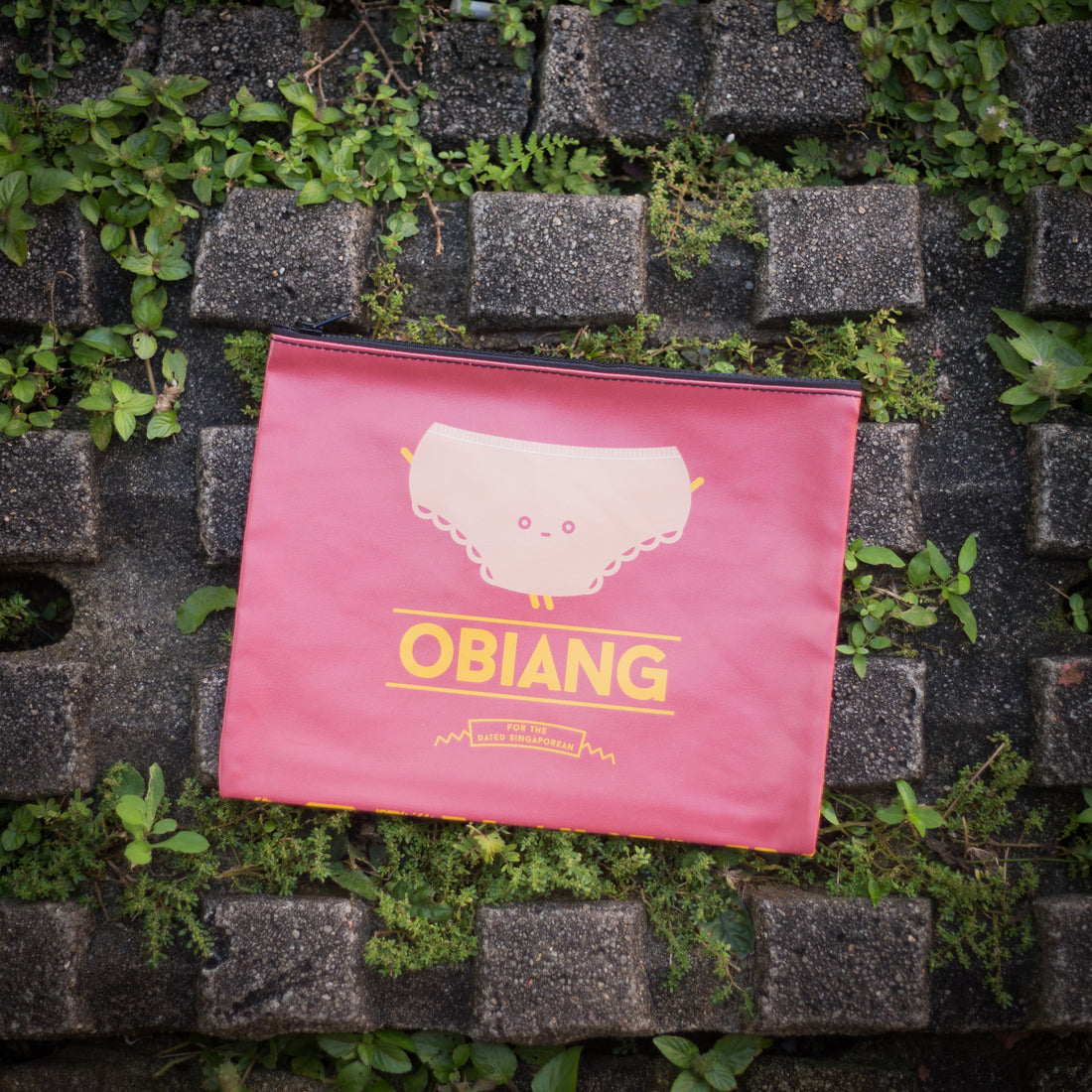 Obiang Pouch