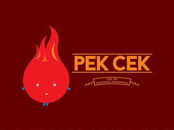 Pek Cek Pouch